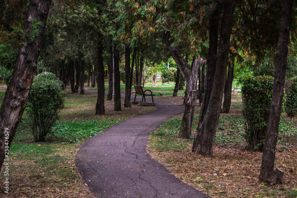 alley in the park alley in the park