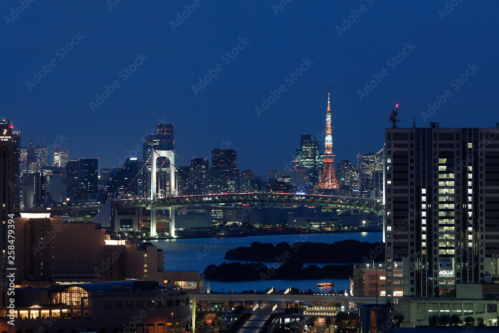 Fototapeta premium Wgląd nocy Tokio