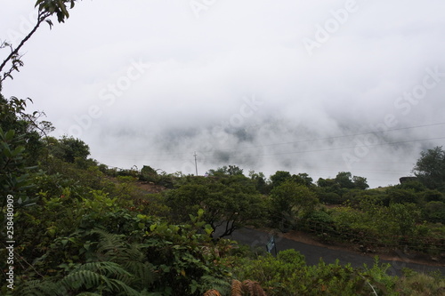 Mountain mist