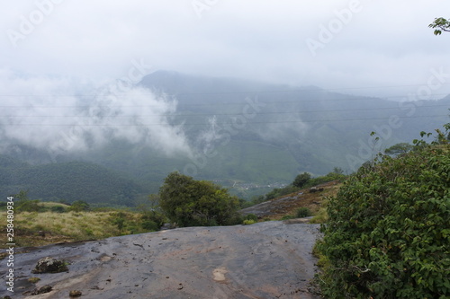 Mountain mist