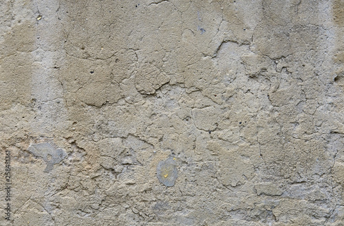 fragment of plastered wall