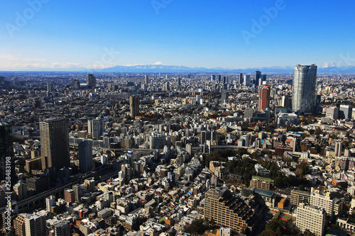 Townscape of Tokyo and Mt. Fuji