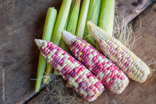 Colorful small ears waxy corns with silk, corn leaf and old wooden background. photo