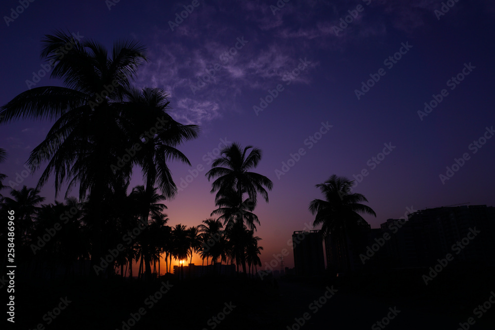 Obraz premium Sunset 