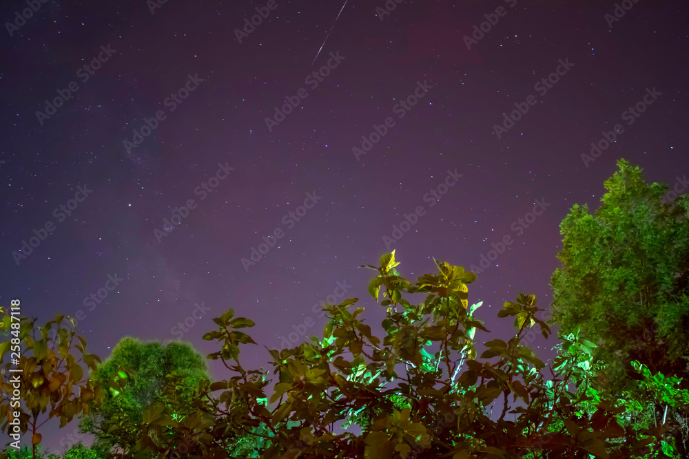 Constellations with green trees foreground