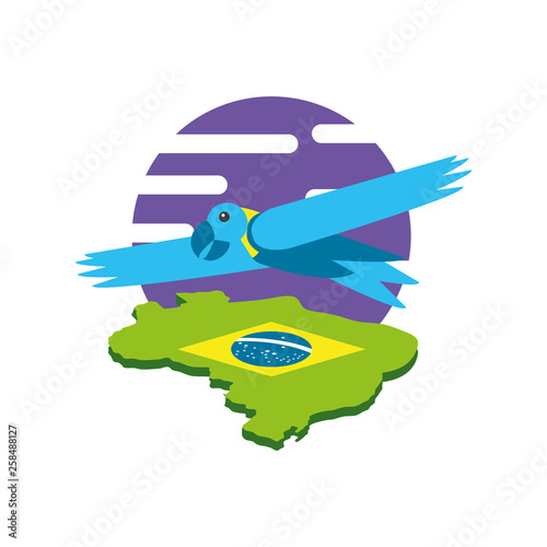 parrot bird animal with map of brazil