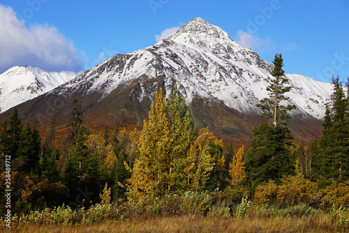 Beautiful wild landscape in Yukon