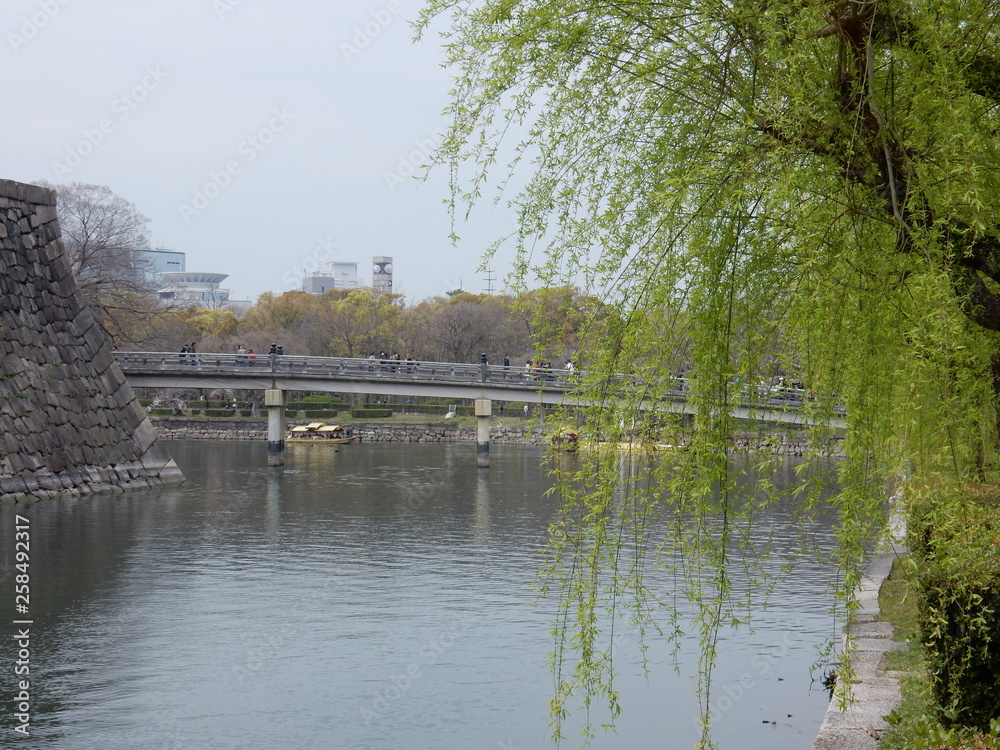 Fototapeta premium 大阪城公園 日本