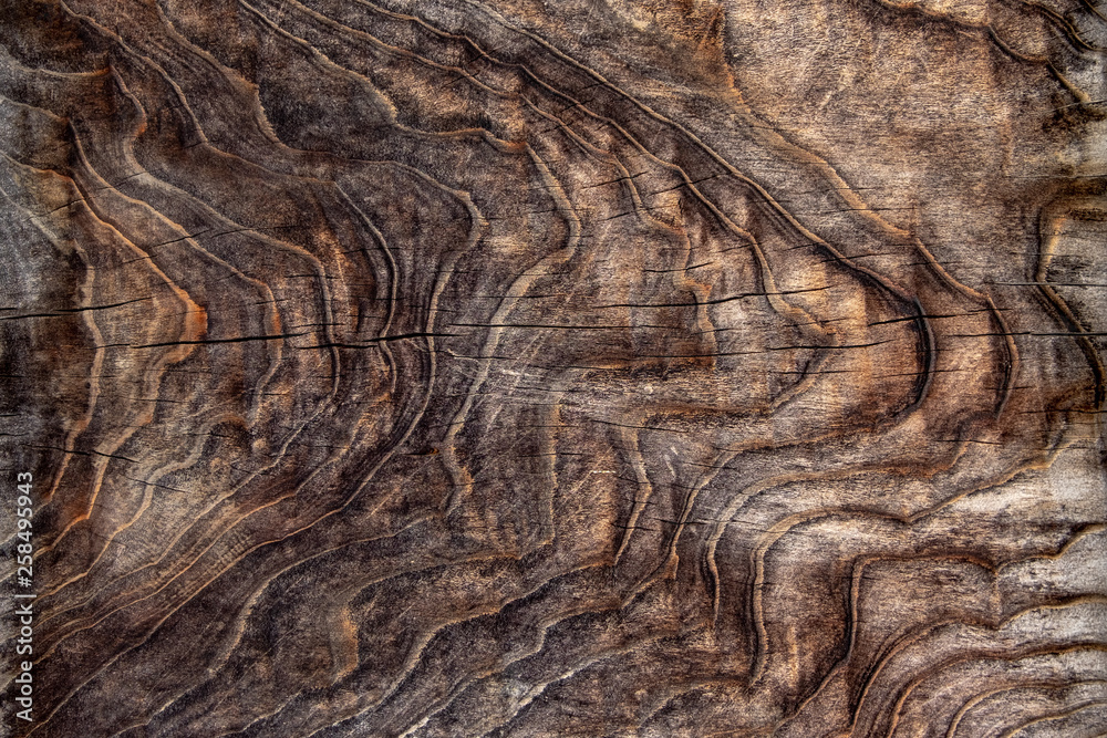 Naklejka premium Brown old wood texture for abstract background, empty template