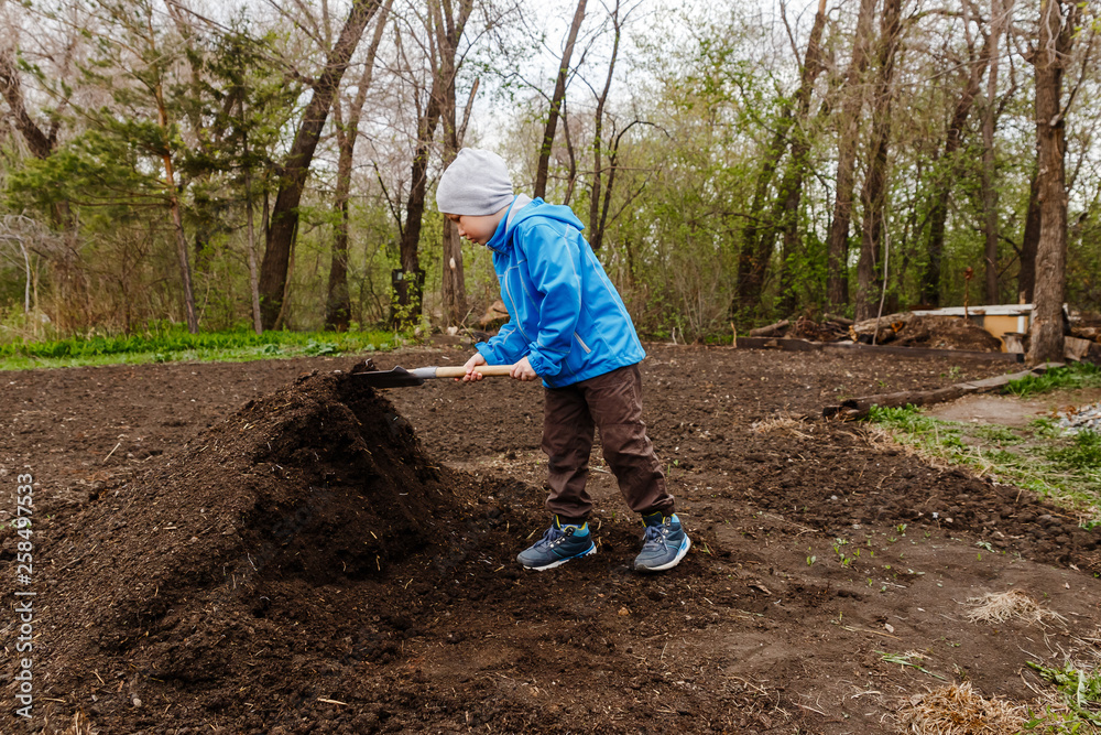 a seven-year-old boy in a blue windbreaker and a hat digs the ground with a sapper shovel in the garden a seven-year-old boy in a blue windbreaker and a hat digs the ground with a sapper shovel in the garden