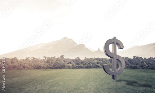 Money making and wealth concept presented by stone dollar symbol on green grass
