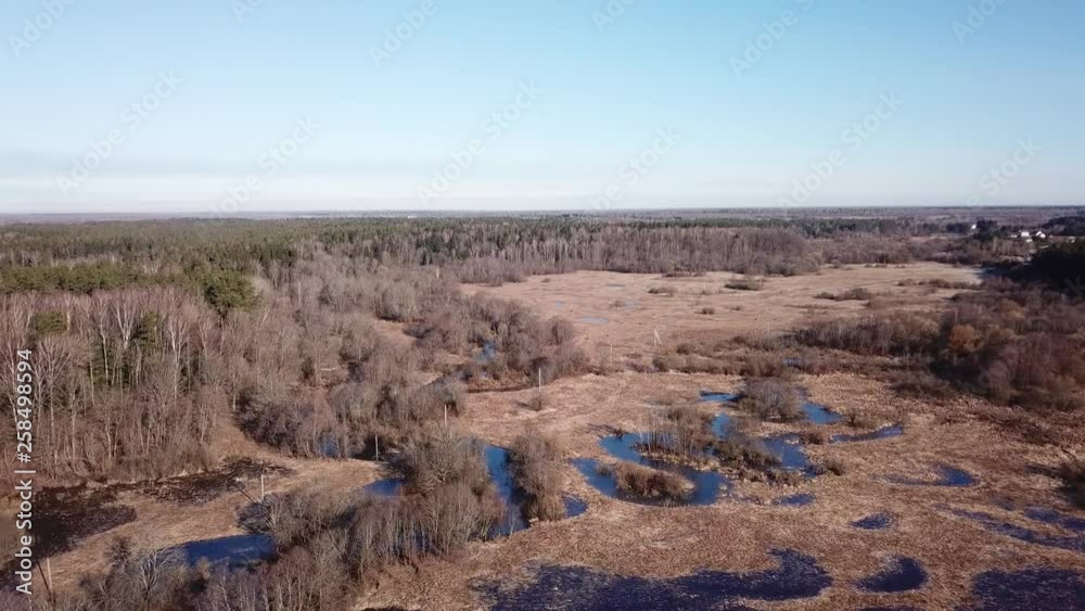 Spring landscape of Shevino Lake Spring landscape of Shevino Lake