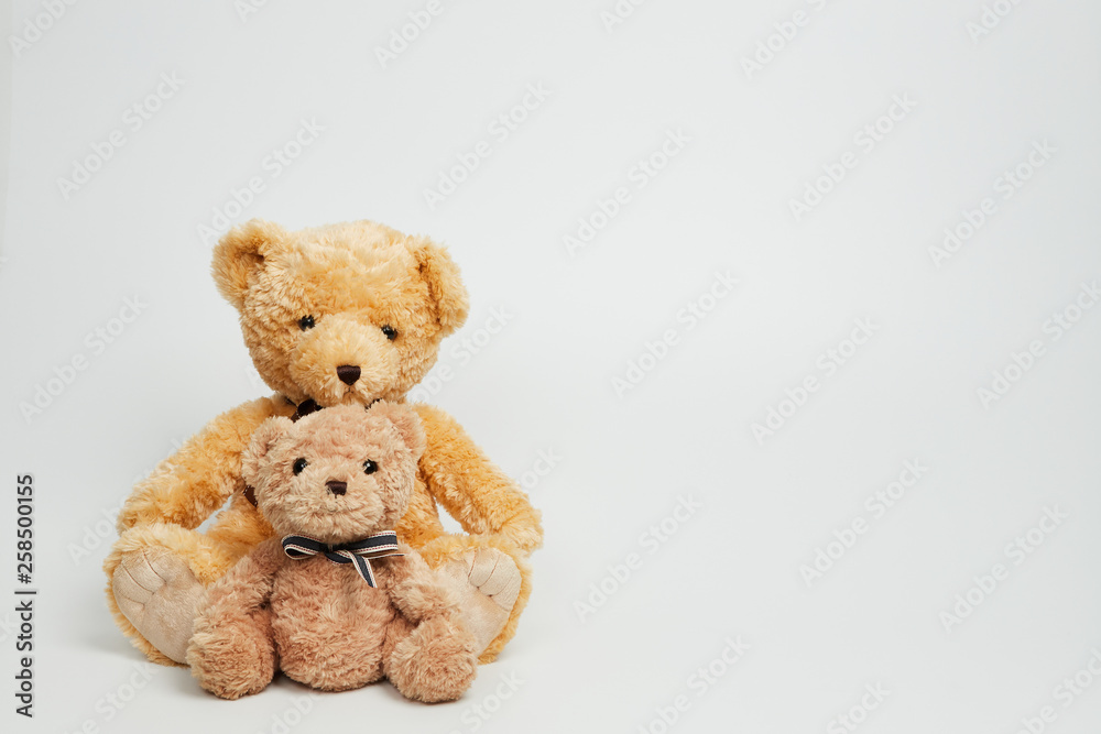 Teddy bear isolated on white background.