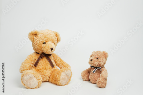 Teddy bear isolated on white background.