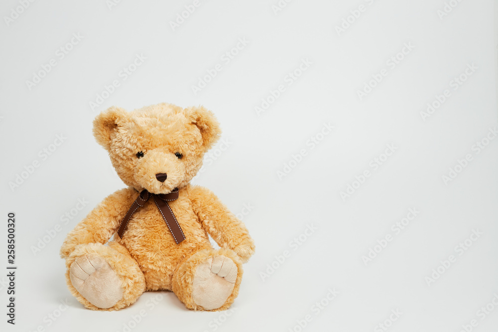 Obraz premium Teddy bear isolated on white background.