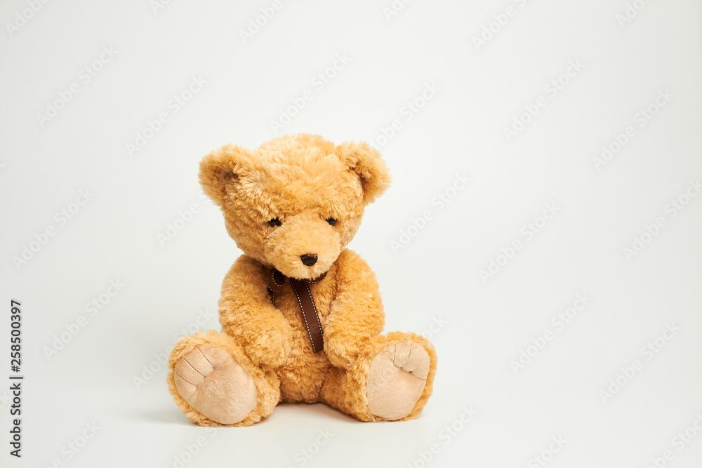 Obraz premium Teddy bear isolated on white background.