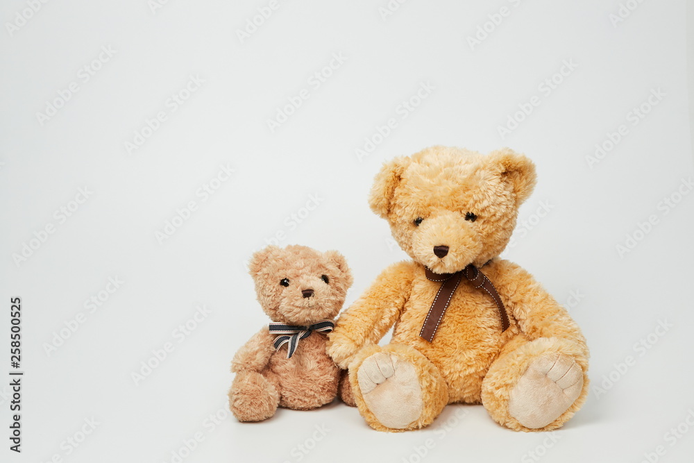 Obraz premium Teddy bear isolated on white background.