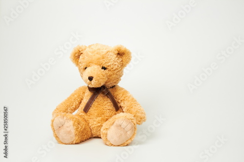 Teddy bear isolated on white background.