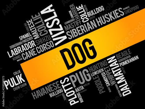 List of most popular dog breeds word cloud collage, animal concept background
