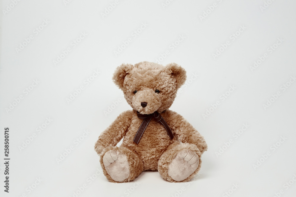 Obraz premium Teddy bear isolated on white background.