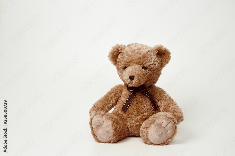 Obraz premium Teddy bear isolated on white background.