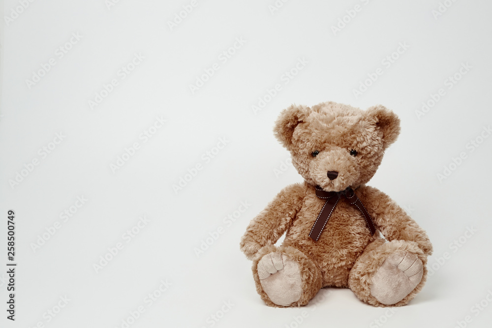 Obraz premium Teddy bear isolated on white background.