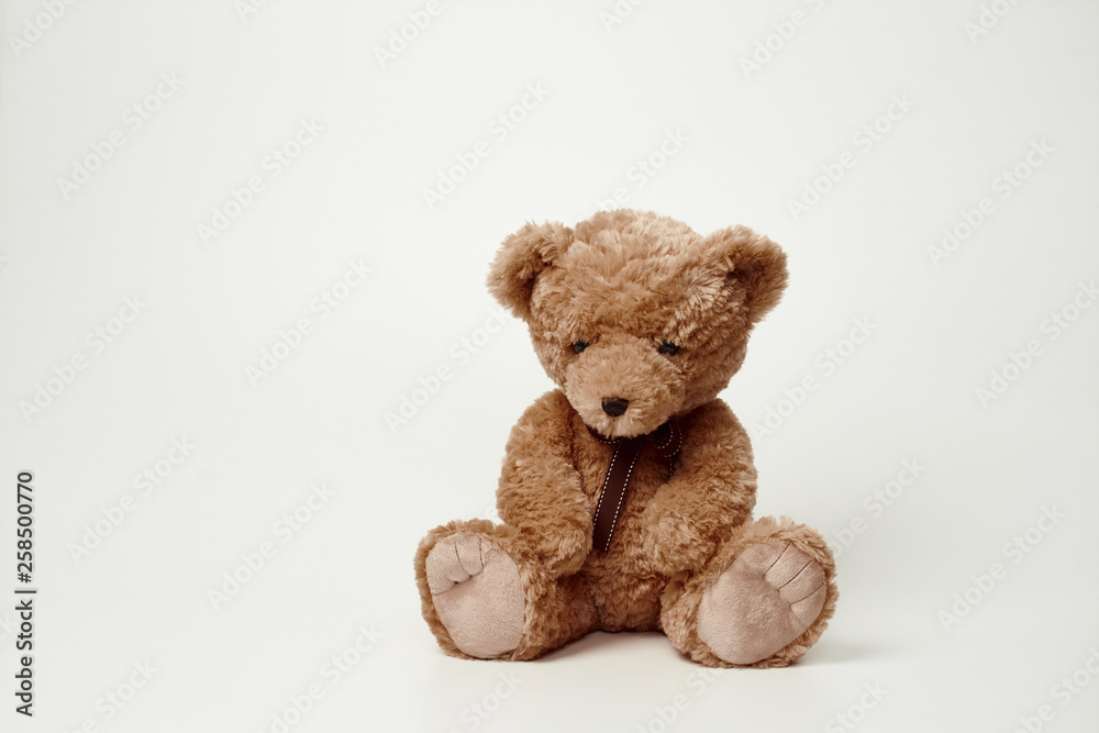 Obraz premium Teddy bear isolated on white background.