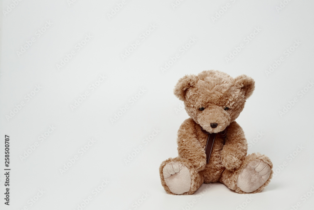 Teddy bear isolated on white background. Teddy bear isolated on white background.
