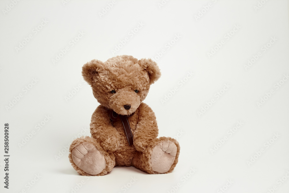 Obraz premium Teddy bear isolated on white background.