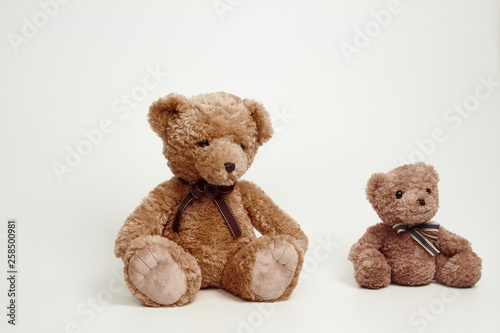 Teddy bear isolated on white background.