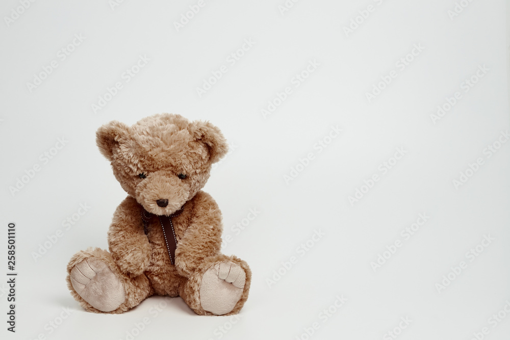 Obraz premium Teddy bear isolated on white background.