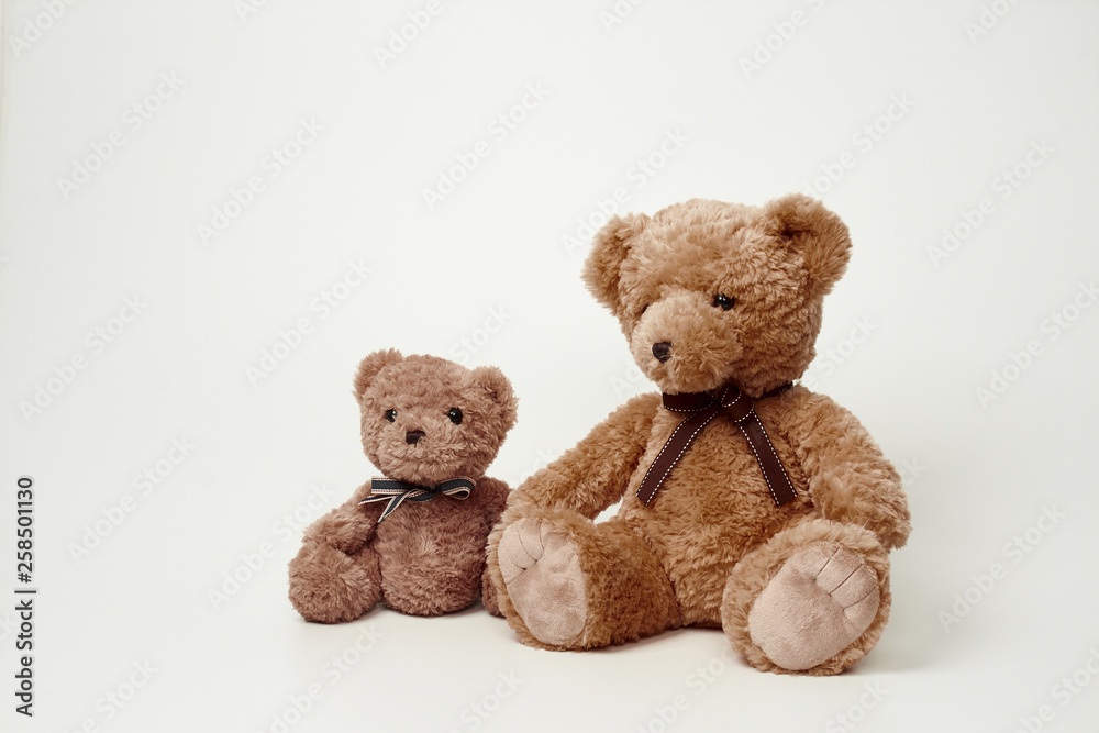 Fototapeta premium Teddy bear isolated on white background.