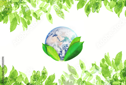Fototapeta Naklejka Na Ścianę i Meble -  World Earth Day, Environmental Abstract sign symbol. The world with green leaves. Element of this image are furnished by NASA