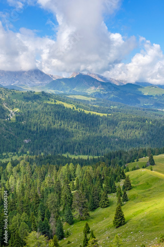 Beautiful view of the forest in an alp valley © Lars Johansson