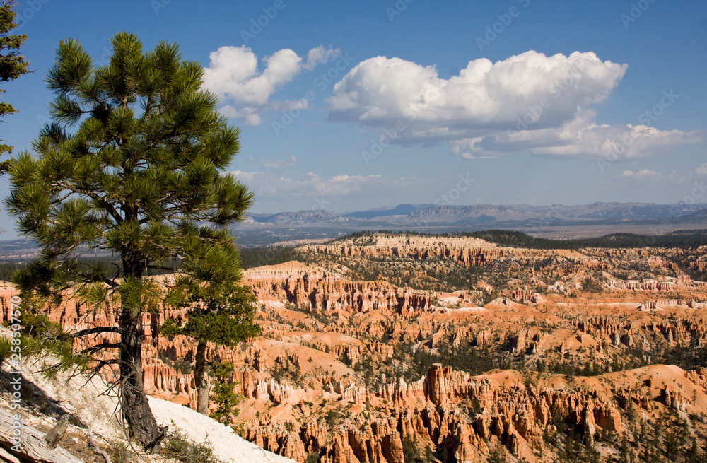 Bryce Canyon against a blue sky