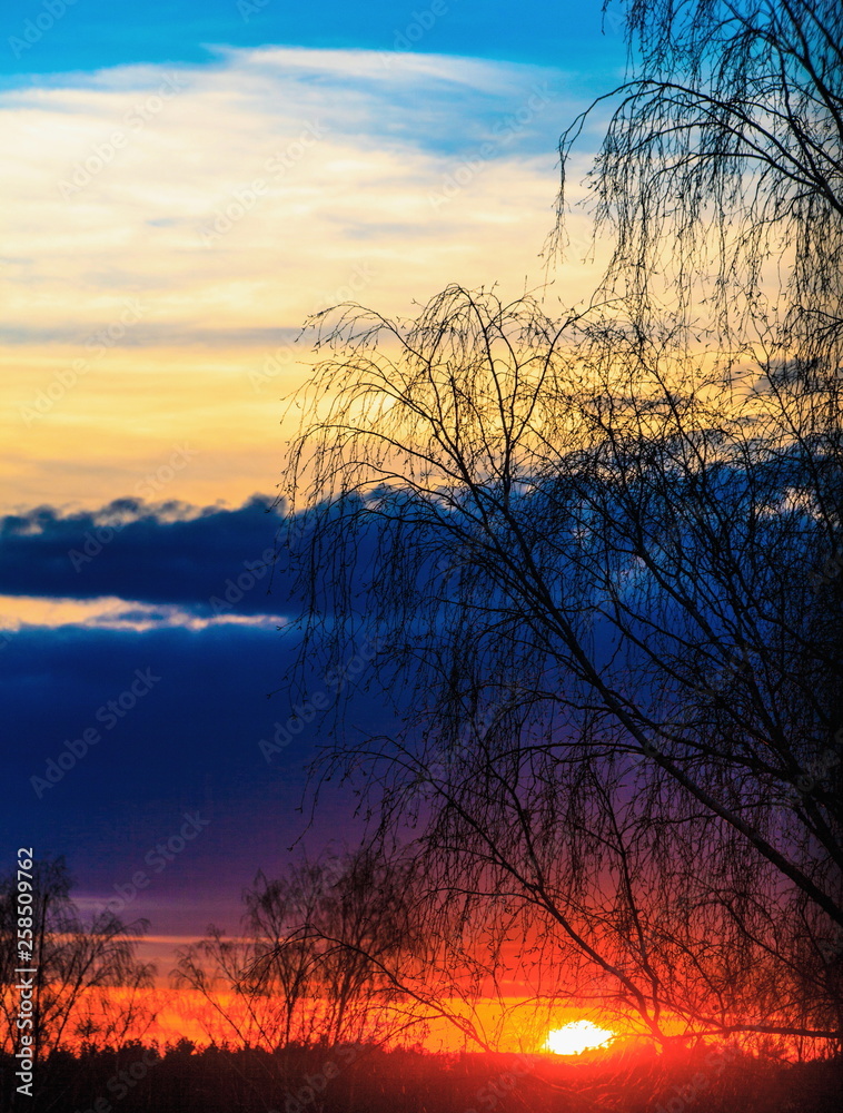 Sunset Sunset
