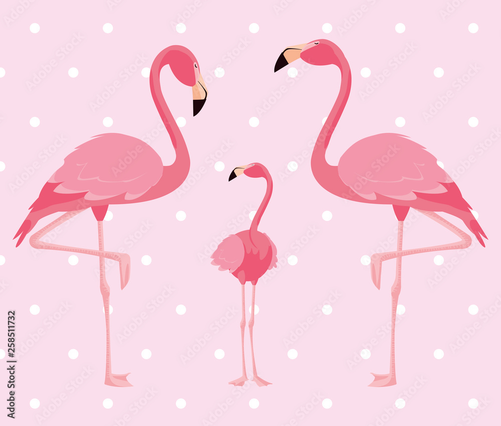 Obraz premium elegant flamingo birds family dotted background