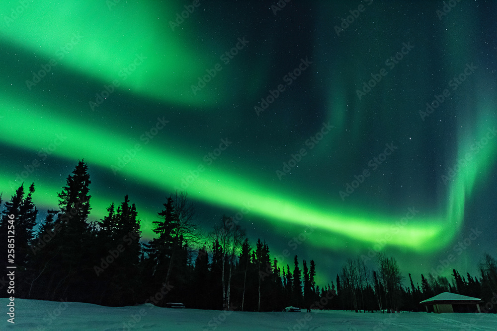 Northern Lights at Chena Lakes in Alaska