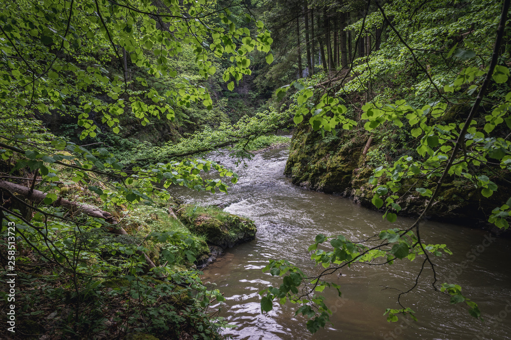 River Hornad in Slovak Paradise mountain range in Slovakia River Hornad in Slovak Paradise mountain range in Slovakia