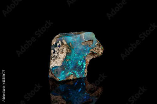 Canvas Print Macro stone Opal mineral in rock on a black background close up