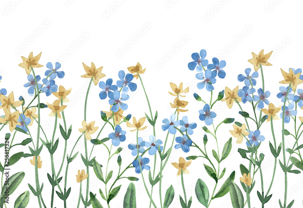 watercolor seamless border of blue forget-me-not and yellow wildflowers with green leaves on white background