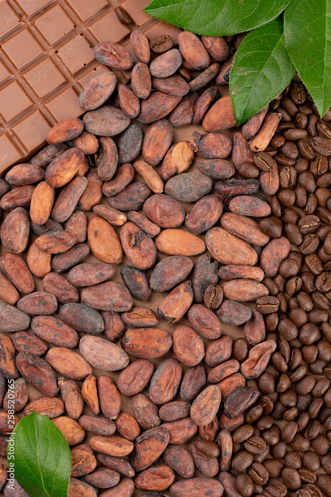 Naklejka premium Chocolate, cocoa and coffee beans with leaves background