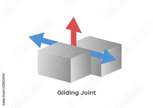 joint type vector