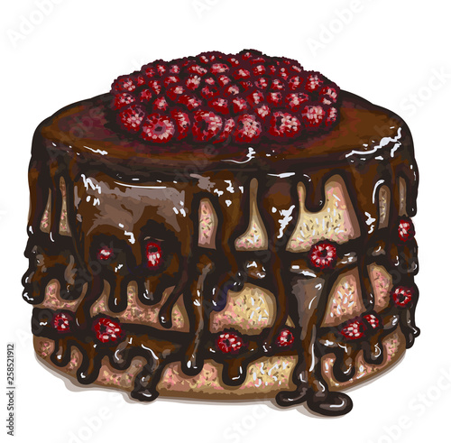Vector piece of raspberry cake with with chocolate filling, crumbly tender cake layers, which are smeared with fantastic natural chocolate glaze, delicately tasty for gurman. Realistic, hand drawing.