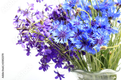 Close-up meadow blue cornflowers bouquet on white background