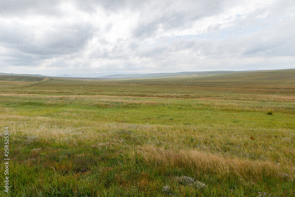 Mongolian steppe on the background of a cloudy sky, Mongolia beautiful landscape