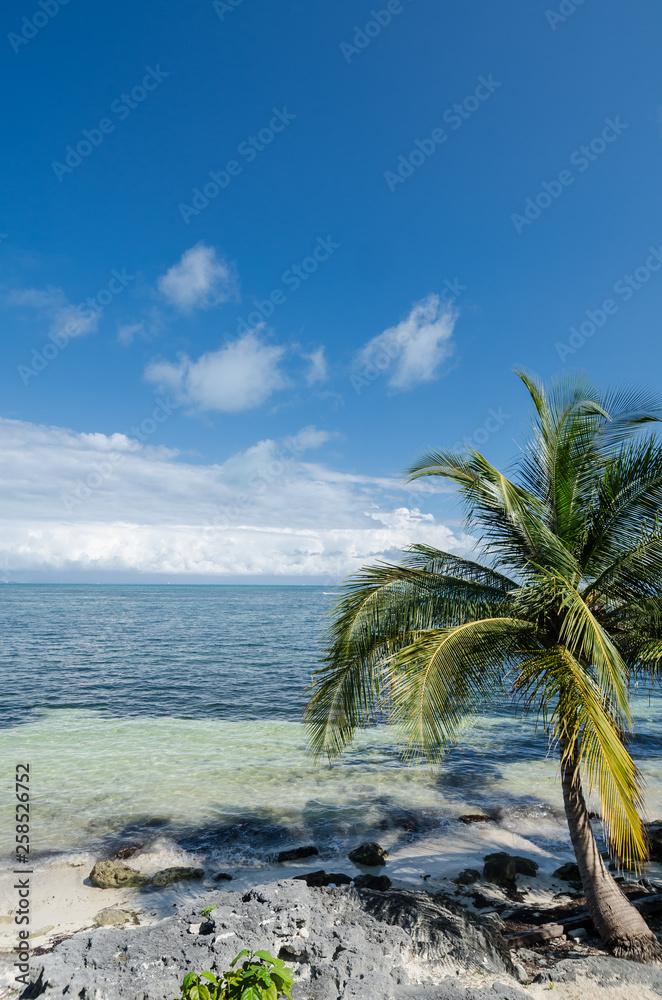 Rocky beach at Mexican Caribbean