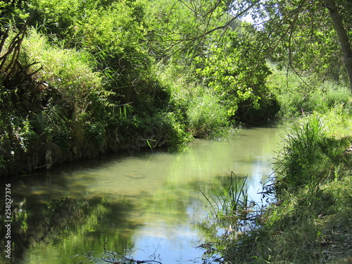 Rio verde