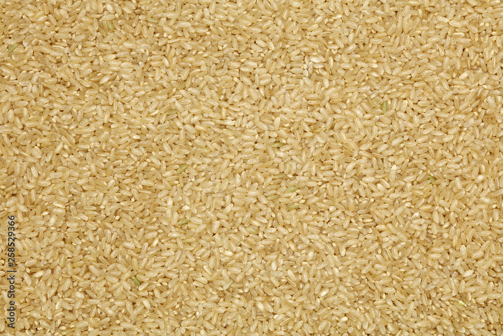Background of short grain brown rice Background of short grain brown rice