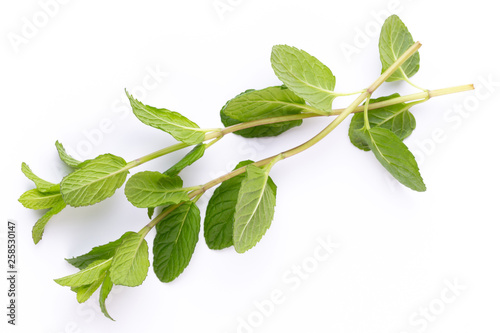 Herbal spice on a white background. Top view.